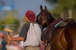 2018 USPA Equine drugs and medication update