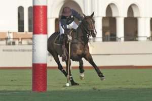 Habtoor ante Mahra y Bin Drai frente a Dr. A/Rhinos, las semifinales