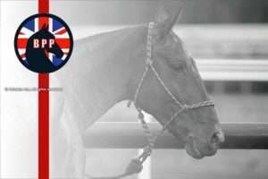 Será reconocido el mejor caballo en cada partido