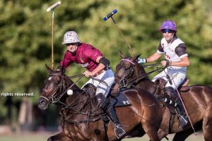 Antelope shows power in Polo Master