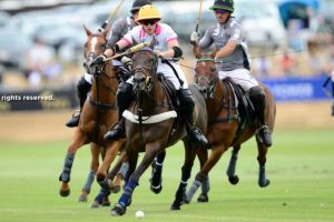 El Remanso & La Bamba de Areco to fight for the British Open