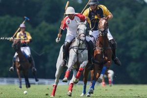 Important wins for Postage Stamp Farm & Huntsman in USPA Silver Cup