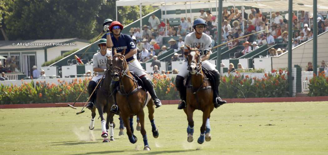 Rh polo online