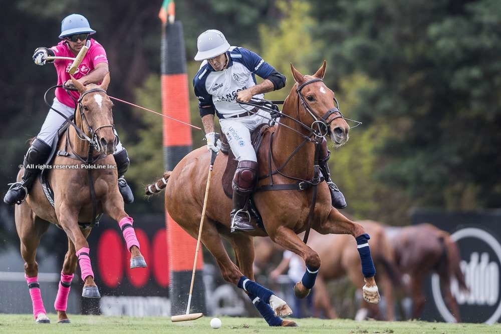 La Dolfina vs Alegria La Irenita