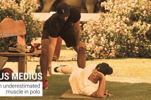 GLUTEUS MEDIUS: AN UNDERESTIMATED MUSCLE IN POLO