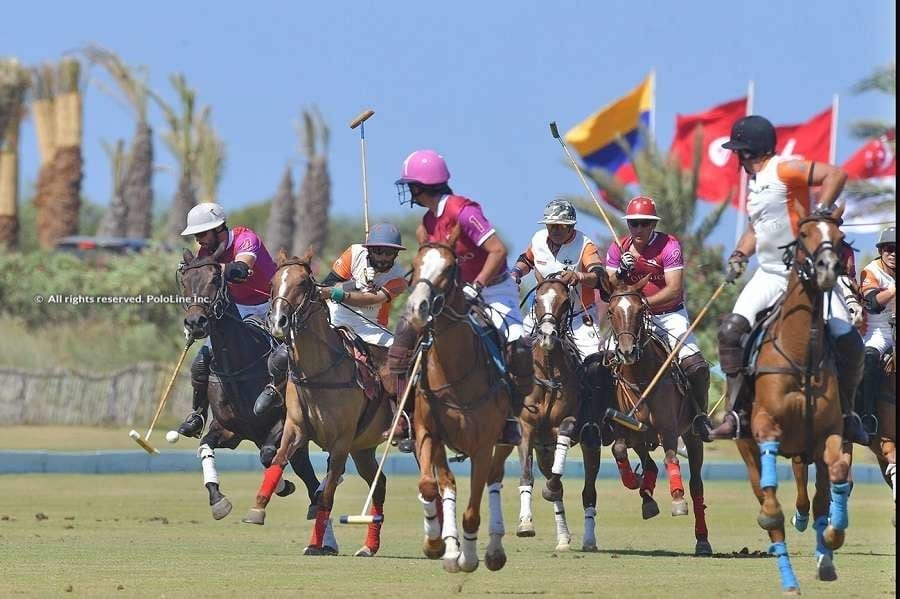 Lawyers Polo Day 1 & 2