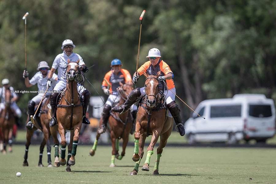 Pololine | Technopolo, cerca de conocer a sus finalistas