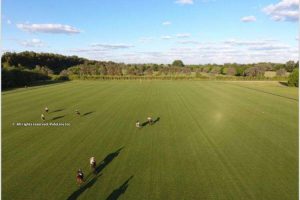 Todo listo para la XIV Copa Tanoira