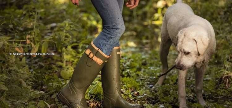 Ariat Burford Welly