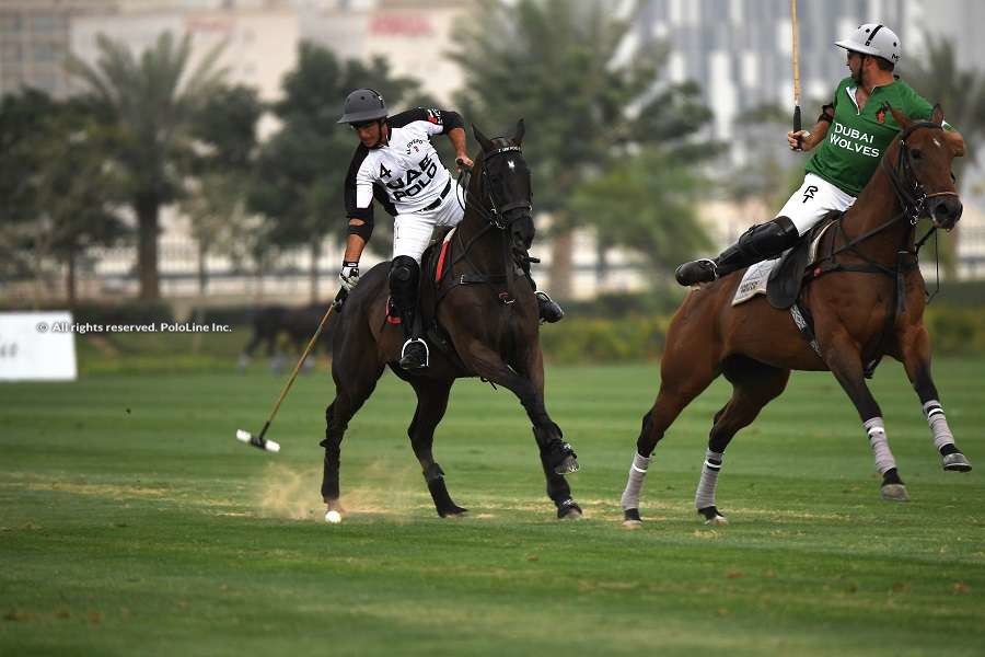 UAE Polo vs Wolves