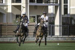 Silver Cup: Success for Zedan & Desert Palm on fifth day