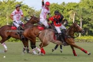 USPA Gold Cup: Solid wins for Postage Stamp & Equuleus