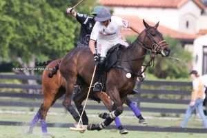 USPA Gold Cup: Equuleus y Daily Racing Form, a semifinales