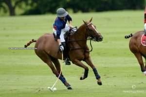 Queen’s Cup: Scone take first win