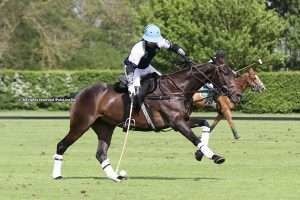 Prince of Wales Trophy: Double action on Sunday, LIVE by PoloLine TV