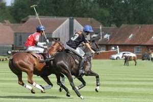 Oxfordshire Cup: Black Bears remain in the winning streak