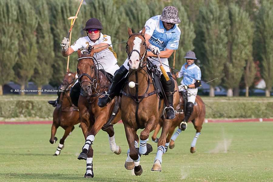 Coupe d´Or: Barriere vs Mungo