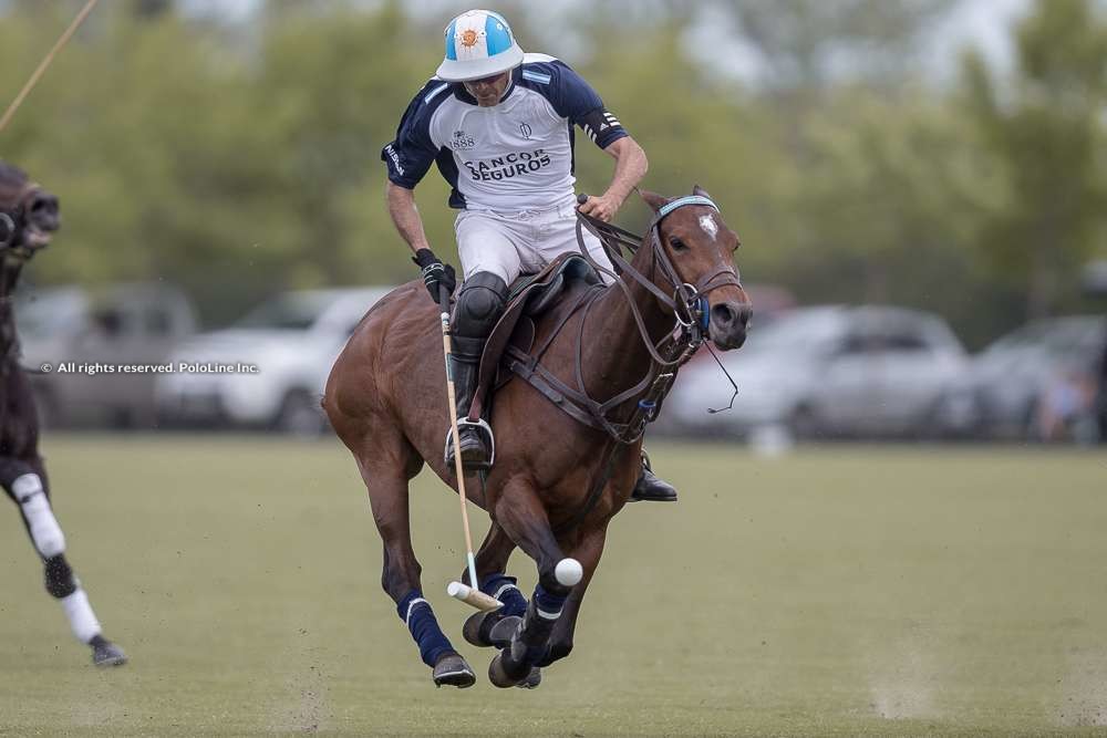 La Dolfina vs La Ensenada