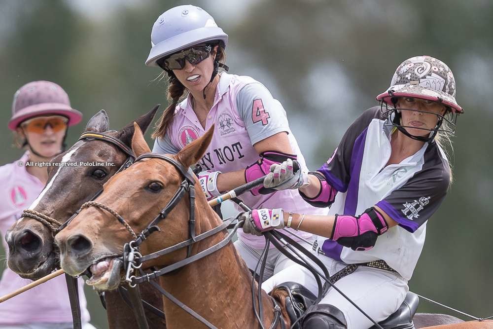 Pink Polo Cup – Wednesday Nov. 6th