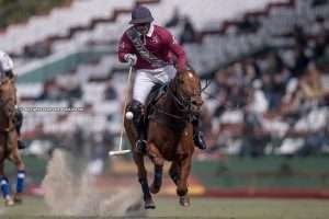 2020 Gauntlet of Polo set with 14 teams