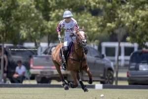 “El tráfico entre los caballos es importante para que se relacionen entre ellos”