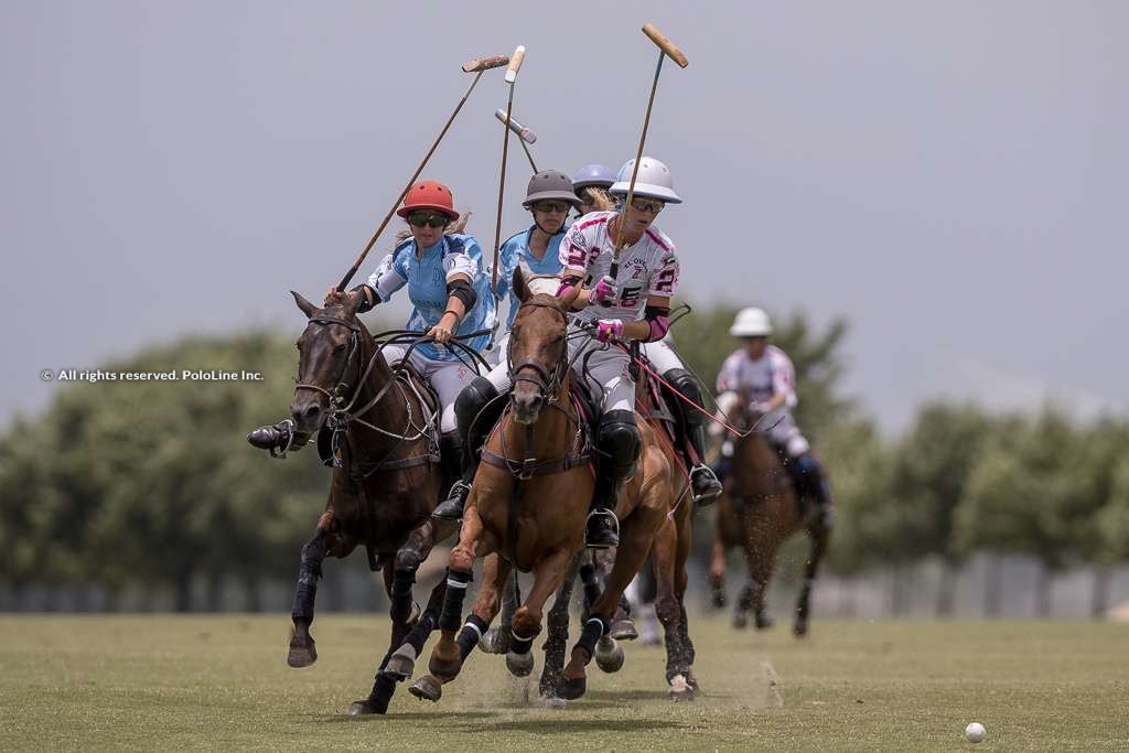 El Overo Z7 UAE vs La Dolfina Amanara