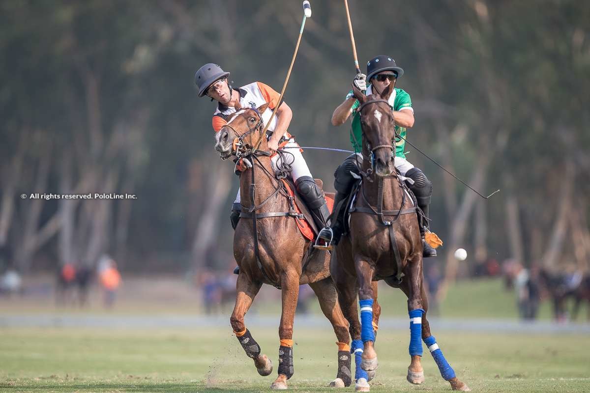 Thai Polo vs Tang Polo