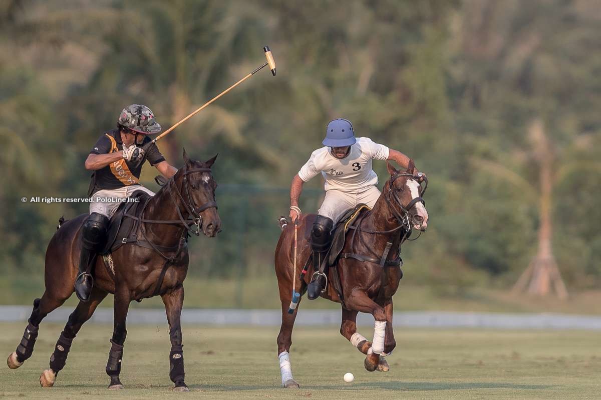 HIS Polo vs Jogo Polo