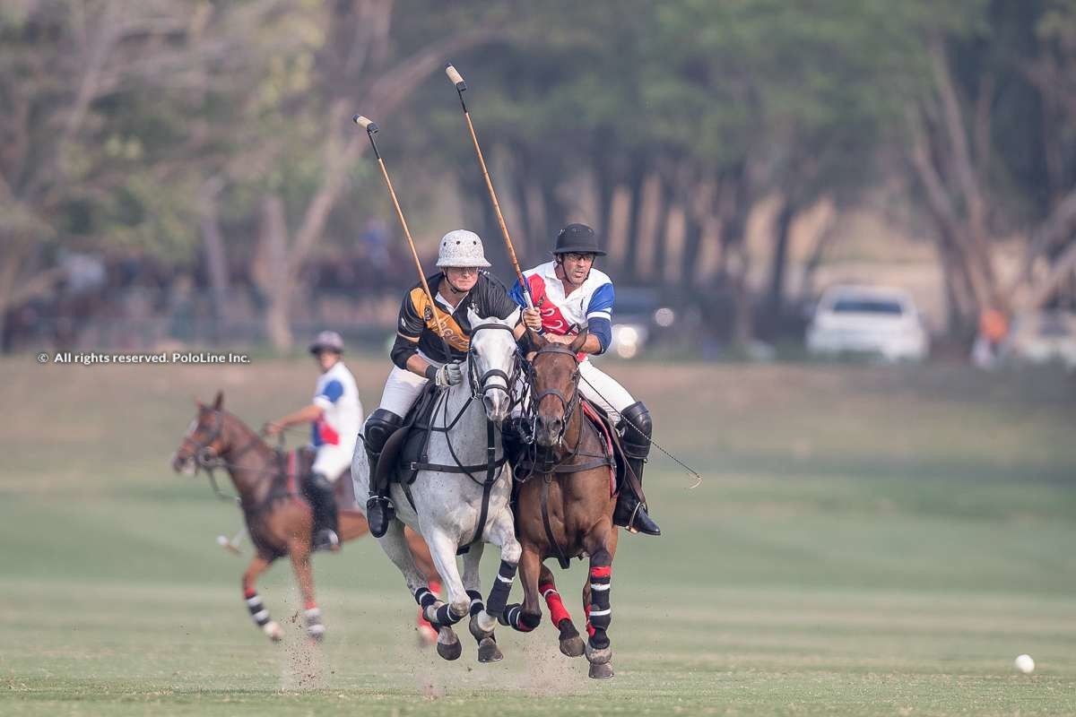 Jogo Polo vs 22BR