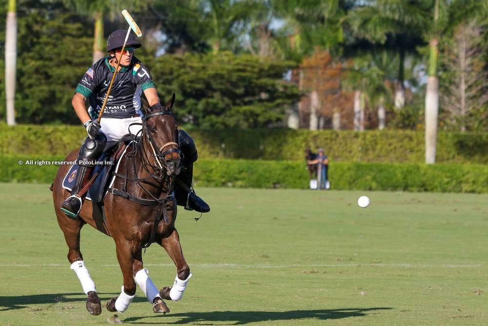 Aliano Realty / Horseware vs Palm Beach Equine