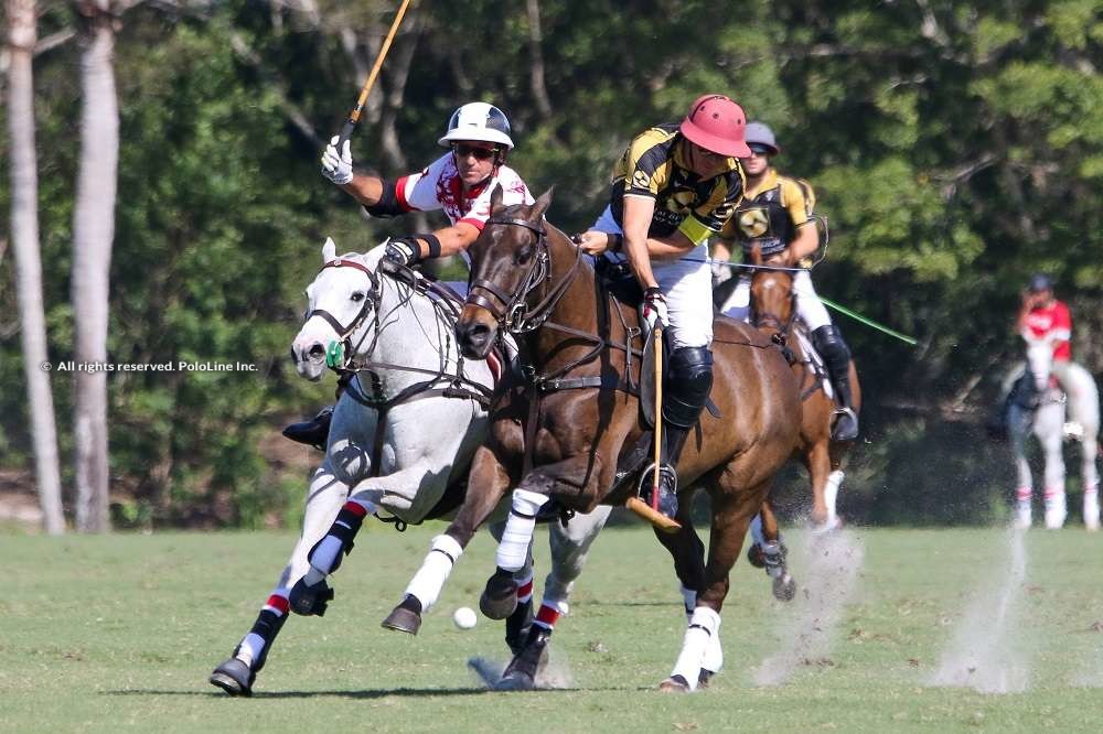 Palm Beach Equine vs Coca-Cola