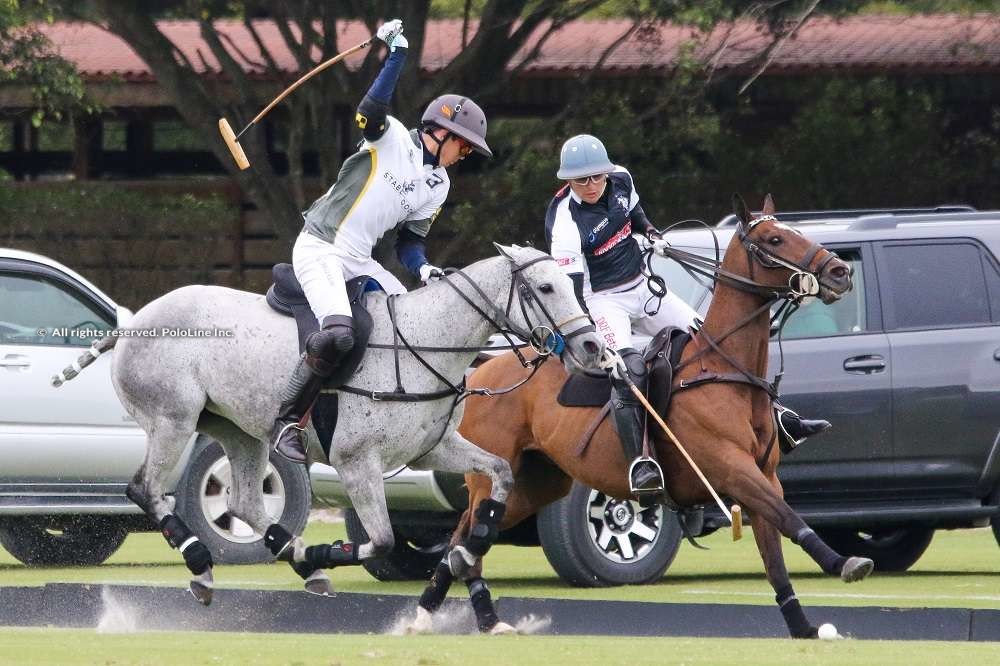 Stable Door Polo vs Daily Racing Form