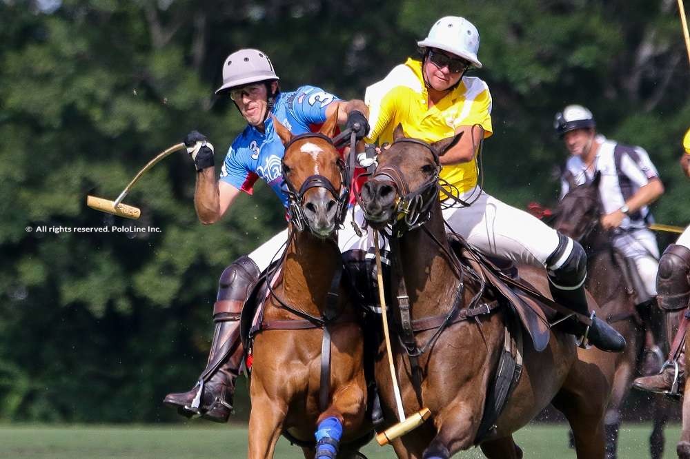 Stable Door vs Patagones