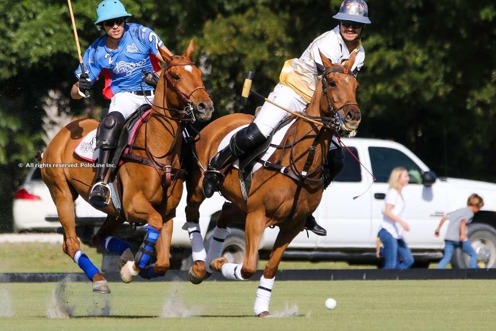 Palm Beach Equine vs Patagones