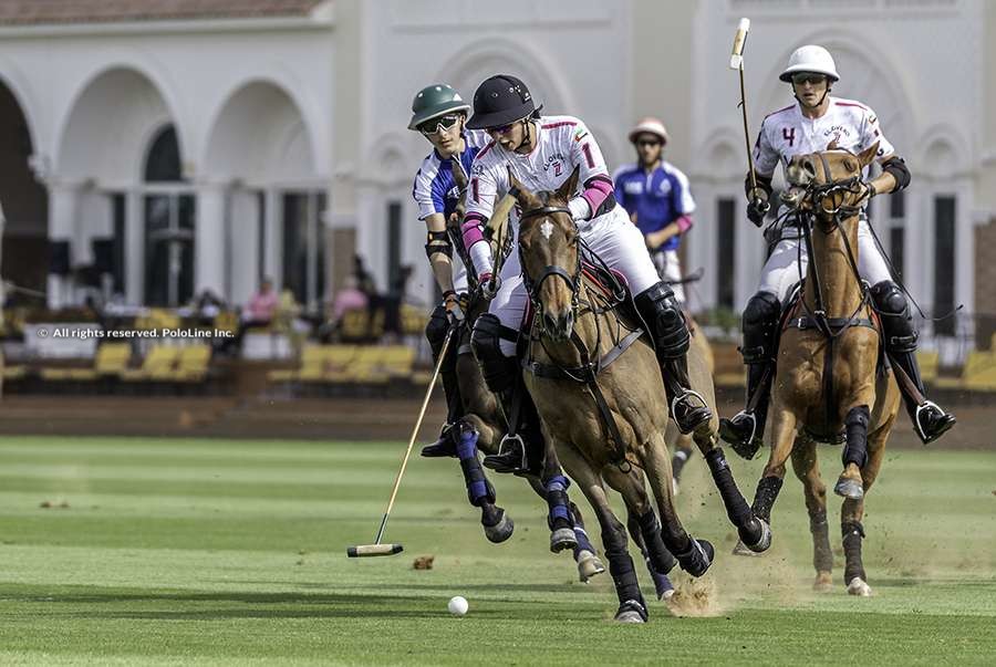 UAE Polo vs AM UAE