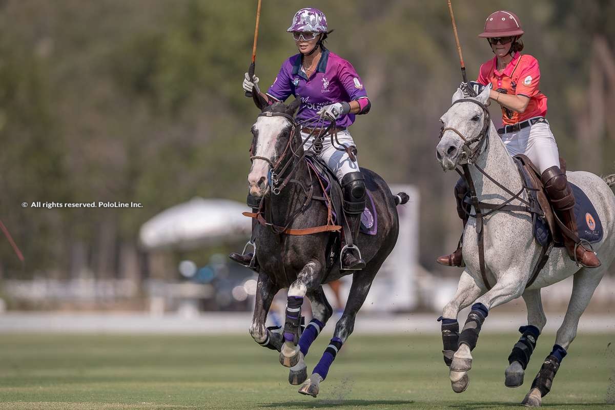 Marengo vs Thai Polo