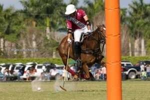 USPA Gold Cup: Daily Racing Form y Pilot, primeros semifinalistas