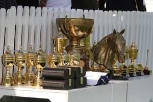 12th Dubai Polo Gold Cup Series due to start shortly!