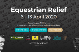 Equestrian Relief: Team Polo showing strength