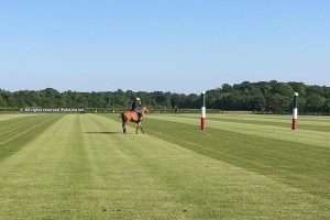 Action & Optimism in Chantilly