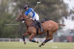 “When it comes to polo horses, every stage of training is of equal importance”