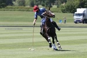 PINK POWER VS TARANTULA – WATCH LIVE ON POLOLINE TV