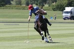 Tarantula qualifies for Black Bears Women’s Final