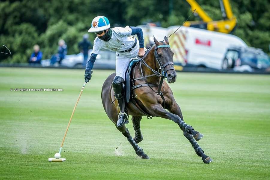 les lions polo