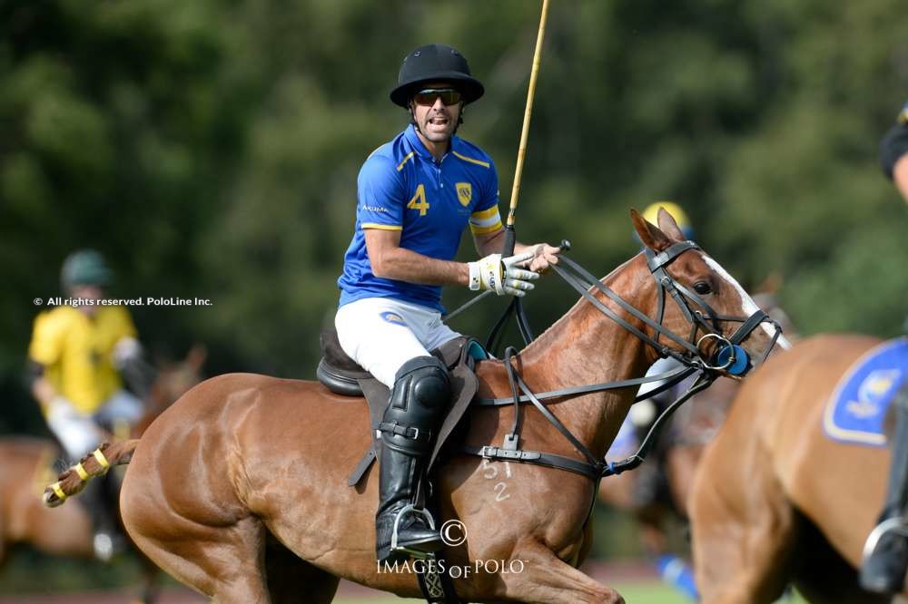 Park Place vs Polo Stud Schockemohle