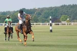 German Polo Championship to resume LIVE ON POLOLINE TV