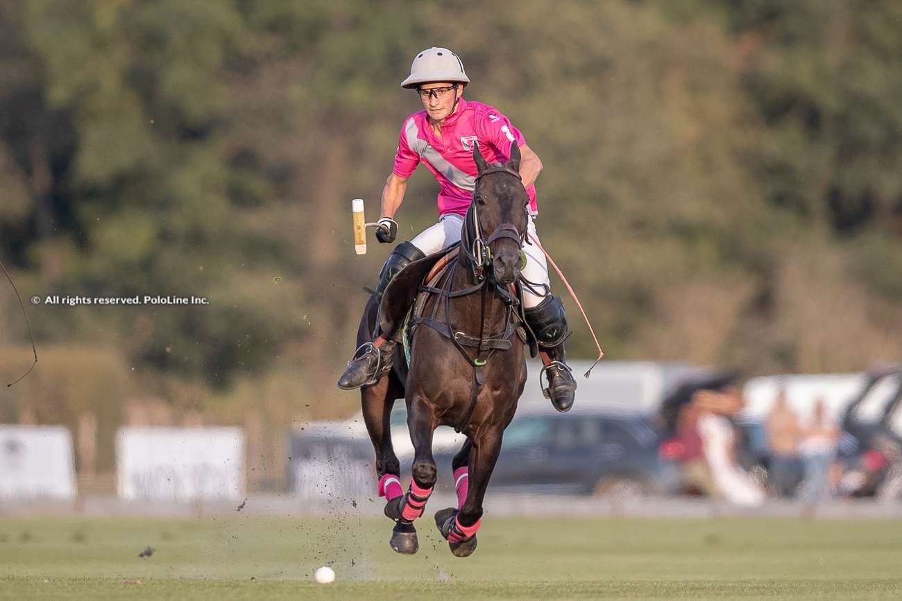 les lions polo