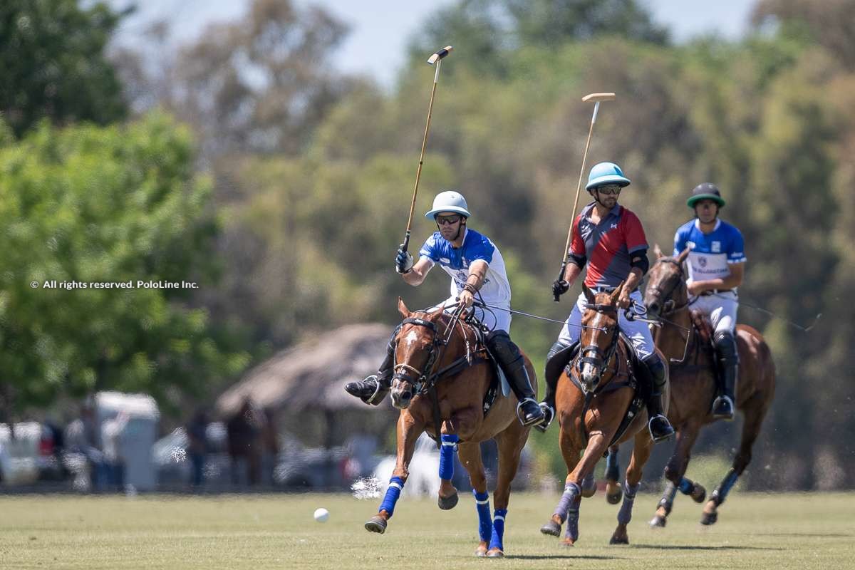 Ellerstina vs La Irenita