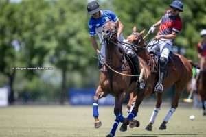 Tortugas: Ellerstina & RS Murus Sanctus claim impressive wins