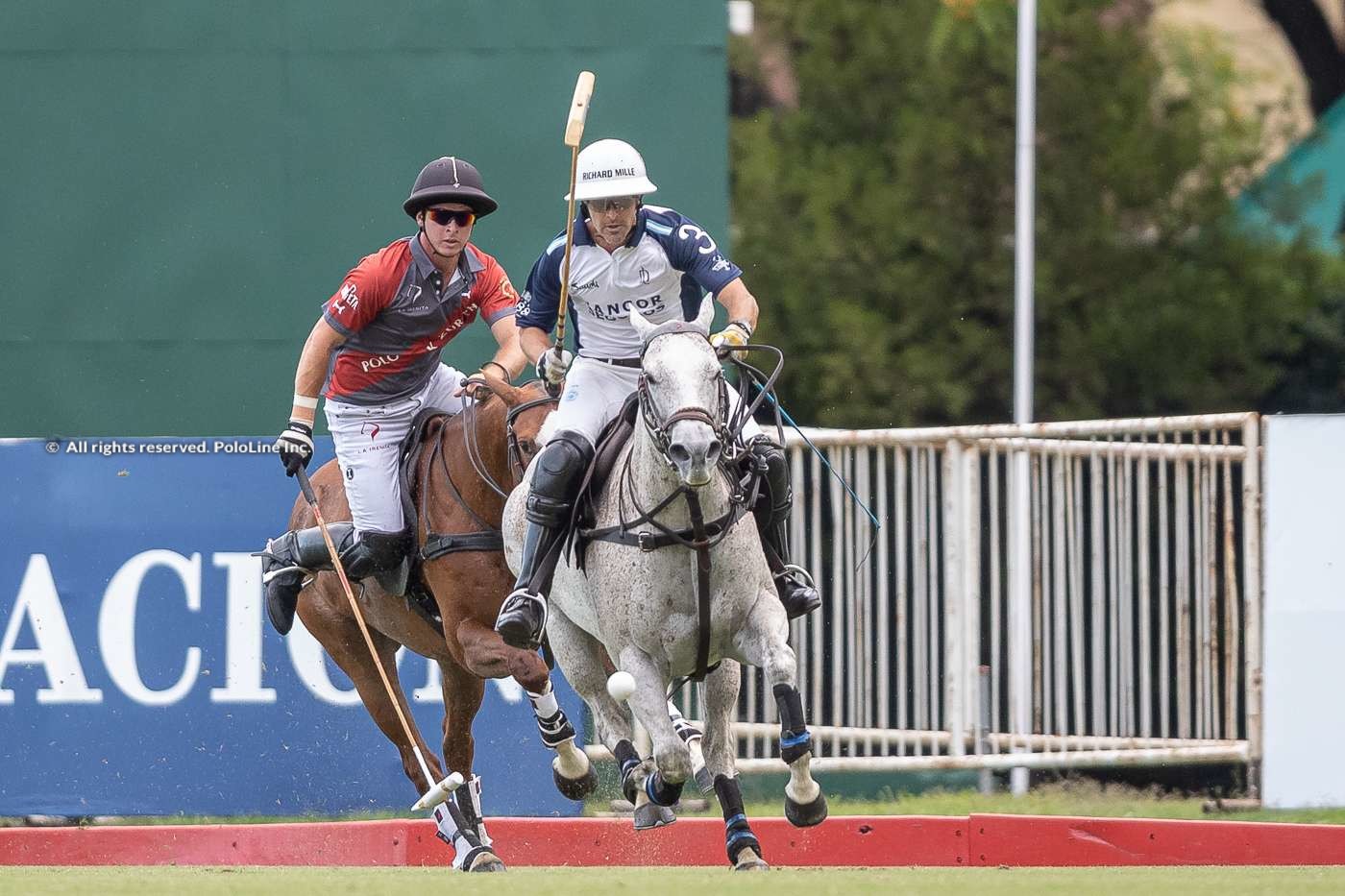 La Dolfina vs La Irenita